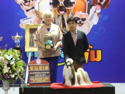 TH.GRAND CH.CENTURY'S MY GOLDEN DREAM