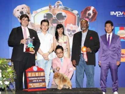 TH.CH.STARLIGHT'S SHINING STAR FOR LA GRANDIS