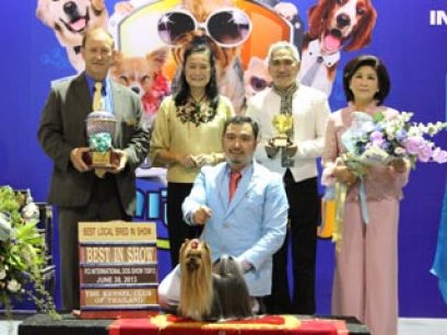 MULTI GRAND CHAMPIONS NANETTE'S OCTOBER SAND DUNE