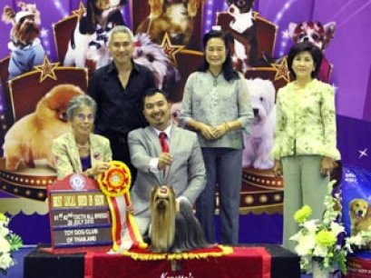 MULTI GRAND CHAMPIONS NANETTE'S OCTOBER SAND DUNE