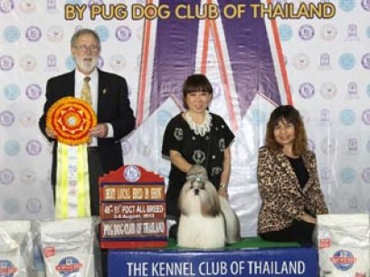 TH.CH.HEARTY'S DREAM MAKER