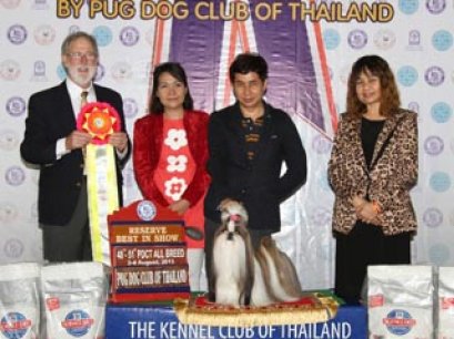 TH.GRAND CH.CENTURY'S MY GOLDEN DREAM