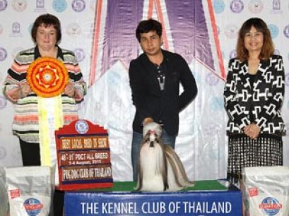 TH.GRAND CH.CENTURY'S MY GOLDEN DREAM