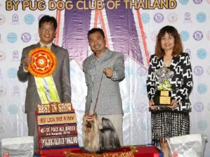 MULTI GRAND CHAMPIONS NANETTE'S OCTOBER SAND DUNE