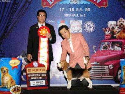 TH.GR.AM.CH.PERFECT COMPANION'S TIGRISS