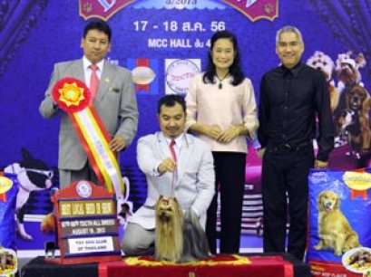 MULTI GRAND CHAMPIONS NANETTE'S OCTOBER SAND DUNE