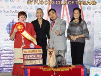 MULTI GRAND CHAMPIONS NANETTE'S OCTOBER SAND DUNE