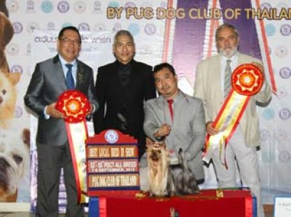 MULTI GRAND CHAMPIONS NANETTE'S OCTOBER SAND DUNE