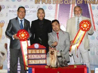 MULTI GRAND CHAMPIONS NANETTE'S OCTOBER SAND DUNE