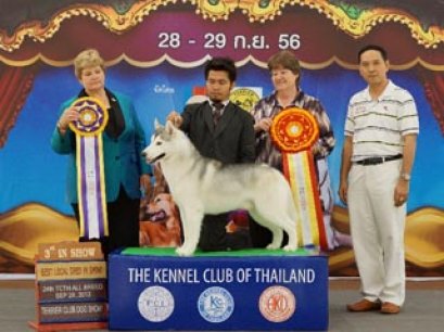 TH.CH.GREEN LEAF'S POWER AT LAST