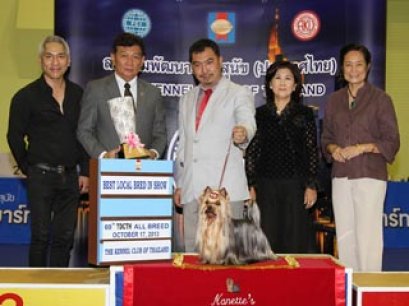 MULTI GRAND CHAMPIONS NANETTE'S OCTOBER SAND DUNE