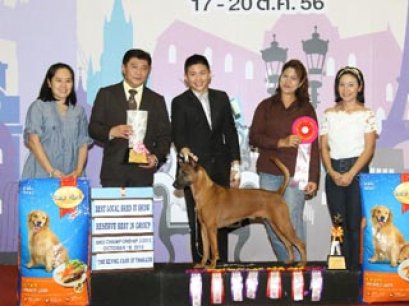 TH.CH.J.D.UNITED JOE'S ANGEL PHA-RUNG-A ROON