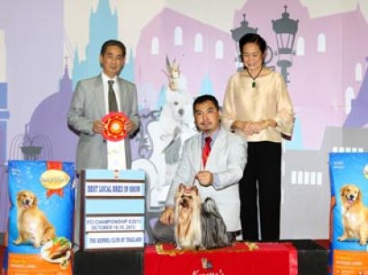 MULTI GRAND CHAMPIONS NANETTE'S OCTOBER SAND DUNE