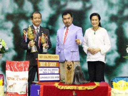 MULTI GRAND CHAMPIONS NANETTE'S OCTOBER SAND DUNE