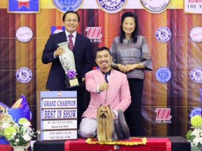 The Mall Toy Dog Championship Dog Show 2/2014(AB1)