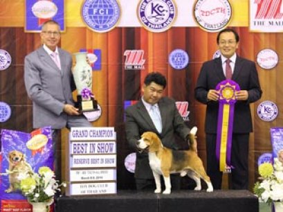 The Mall Toy Dog Championship Dog Show 2/2014(AB2)