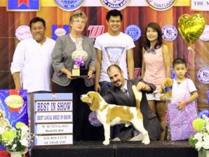 The Mall Toy Dog Championship Dog Show 2/2014(AB4)