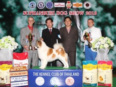 TH.CH.BOWIE OF BANPAPORN