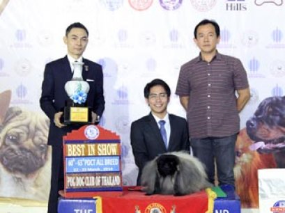TAWANNA NGAMWONGWAN NATIONAL DOG SHOW 2/2014(AB1)