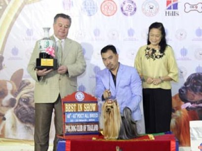 TAWANNA NGAMWONGWAN NATIONAL DOG SHOW 2/2014(AB2)