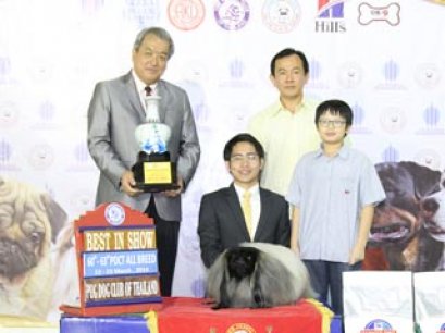 TAWANNA NGAMWONGWAN NATIONAL DOG SHOW 2/2014(AB3)