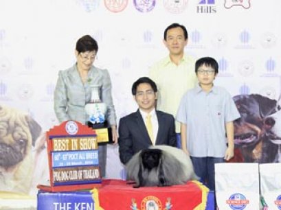 TAWANNA NGAMWONGWAN NATIONAL DOG SHOW 2/2014(AB4)