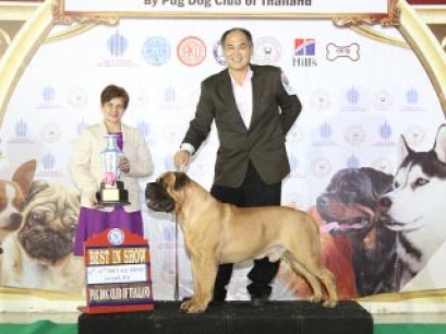 TAWANNA NGAMWONGWAN NATIONAL DOG SHOW 3/2014(AB3)