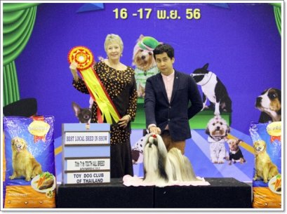 TH.GRAND CH.CENTURY'S MY GOLDEN DREAM