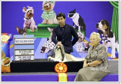 TH.GRAND CH.CENTURY'S MY GOLDEN DREAM