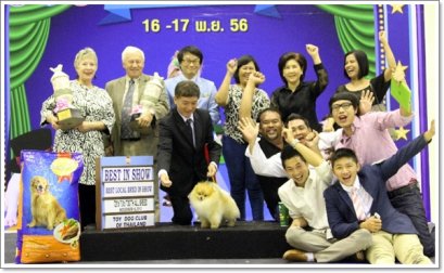 TH.GRAND,CH.MORGAN'S MODERN DESIGN