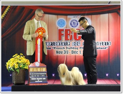 TH.CH.CHIC CHOIX SPLENDID SENSATION