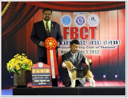 TH.GR.AM.CH.PERFECT COMPANION'S TIGRISS