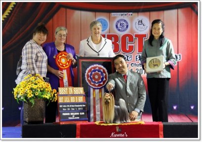 MULTI GRAND CHAMPIONS NANETTE'S OCTOBER SAND DUNE