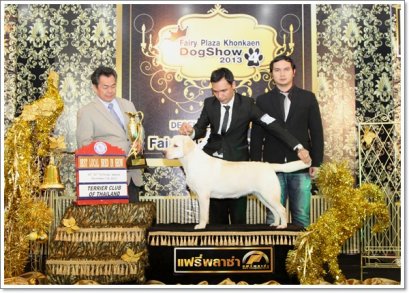 TH.CH.WESTLAND CHATEAU LE CHANNAL