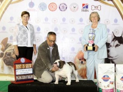 TAWANNA NGAMWONGWAN NATIONAL DOG SHOW 4/2014(AB1)