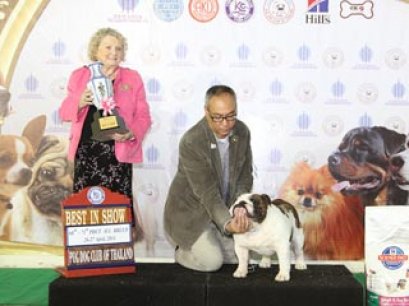 TAWANNA NGAMWONGWAN NATIONAL DOG SHOW 4/2014(AB2)