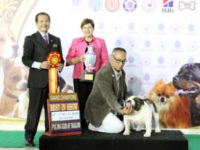 TAWANNA NGAMWONGWAN NATIONAL DOG SHOW 4/2014(AB3)