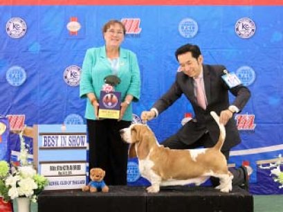 Bangkok FCI International Championship Dog Show 2014(AB3)