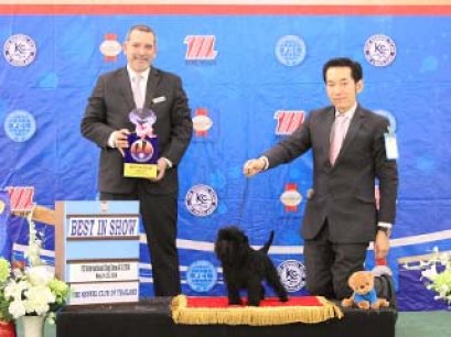 Bangkok FCI International Championship Dog Show 2014(AB4)
