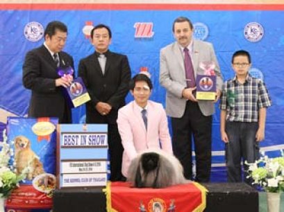 Bangkok FCI International Championship Dog Show 2014(AB1)