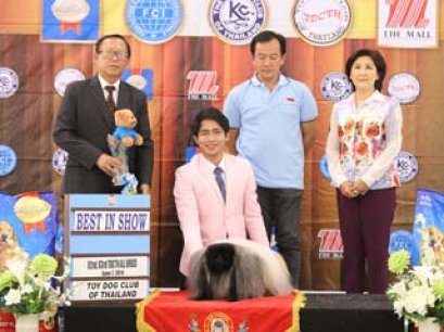 The Mall Toy Dog Championship Dog Show 3/2014(AB2)