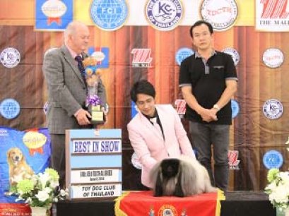 The Mall Toy Dog Championship Dog Show 3/2014(AB3)