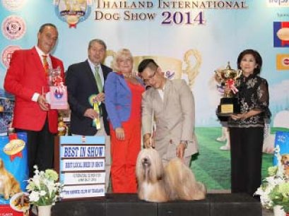 Thailand International Dog Show 2014(FCI6)