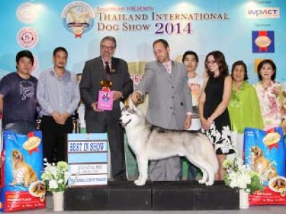 Thailand International Dog Show 2014(AB2)