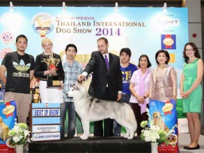 Thailand International Dog Show 2014(AKU)