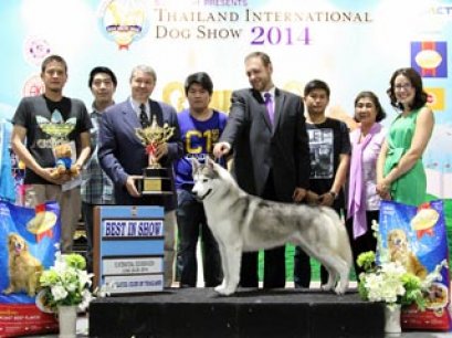 Thailand International Dog Show 2014(FCI8)