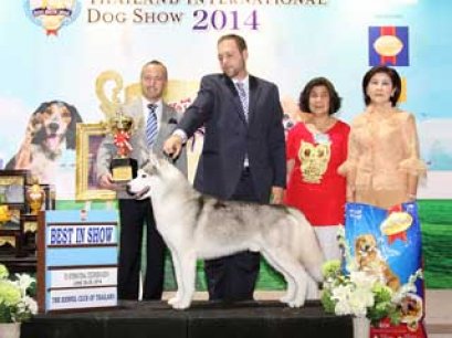 Thailand International Dog Show 2014(FCI9)