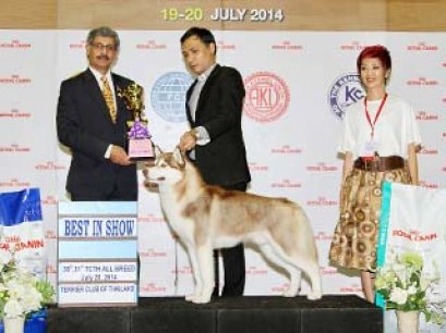 ROYAL CANIN INTERNATIONAL DOG SHOW 2014_AB3