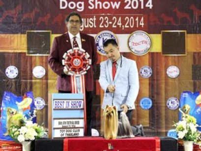 Toy Dog Club Championship Dog Show 2014_AB1