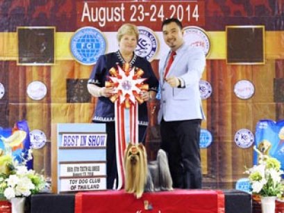 Toy Dog Club Championship Dog Show 2014_AB2